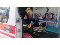 Aniden önüne çıkan köpek kaza yapmasına sebep oldu