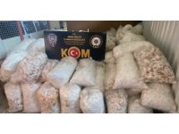 Adana’da 28 milyon 833 bin makaron ele geçirildi