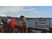 Manzara fotoğrafı için çitlerden atlayan vatandaşlar, canlarını hiçe saydı