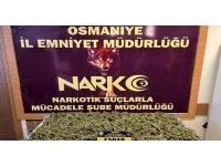 Osmaniye’de uyuşturucu operasyonları: 20 gözaltı