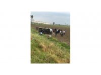 Minibüs ile kamyon çarpıştı: 10 yaralı