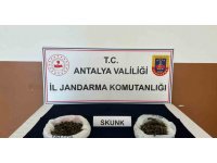 Alanya’da uyuşturucu ticaretine jandarma engeli