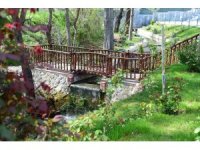 Cevizli Park hizmete başlıyor