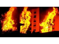 Alev topuna dönen palmiye ağaçları korku dolu anlar yaşattı