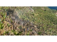 Antalya’da ormanlık alanda ve muz bahçesinde çıkan yangında 8 dönüm alan zarar gördü