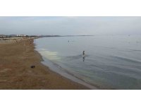 Denizde oluşan ve vatandaşları tedirgin eden görüntünün mevsimsel polenler olduğu ortaya çıktı