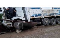 Kamyon sürücüsü direksiyonu başında ölü bulundu