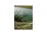 Sulama kanalına düşen otomobilden 3 erkek cesedi çıktı