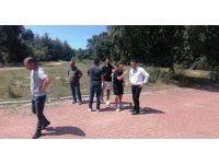 Palmiyeye çarpan Alman sürücünün yalanını güvenlik kameraları ortaya çıkardı