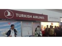 Kanadına kuş çarpan THY’ye ait uçağın seferi iptal edildi