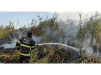 Sazlık alanda çıkan yangın söndürüldü