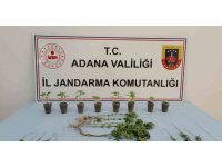 Uyuşturucu operasyonunda 7 şüpheli yakalandı