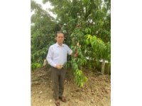 Akdeniz meyve sineğinin popülasyonu artabilir, önlemler alınmalı