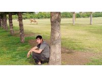 Sahibini düşüren atın parkta başıboş dolaşması vatandaşları tedirgin etti