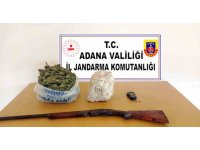 Narenciye bahçesini kenevir tarlasına çevirmişler