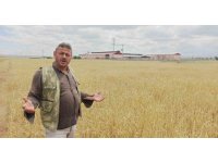 Dolu yağışı, çiftçinin bir yıllık emeği ve alın terini götürdü