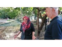 Yılandan korkup ormanı yakıyordu