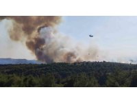 Adana’da orman yangını: Havadan ve karadan müdahale başladı