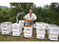 Antalya’da arı kovanlarının yeni adresi bin 960 metre rakımlı yaylalar