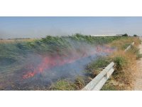 Mısır tarlasındaki yangın büyümeden söndürüldü