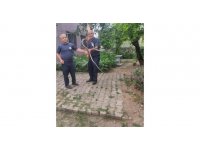 Çadıra giren yılanı itfaiye ekipleri yakaladı
