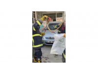 Otomobilin motor kısmına giren yılan bagajdan çıkarıldı