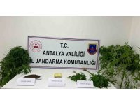 Jandarma uyuşturucu tacirlerine göz açtırmıyor