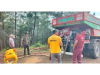 Osmaniye’de orman yangını, ekipler havadan ve karadan müdahale ediyor