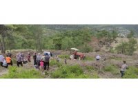 Traktör devrildi, sürücü hayatını kaybetti