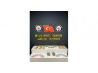 Otel hırsızı yakalandı