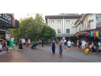 Alanya’da asırlık çınar gövdesinden kırılıp yola devrildi