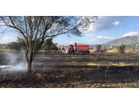 Burdur’da 40 dekar arazi ve arı kovanları yangında küle döndü