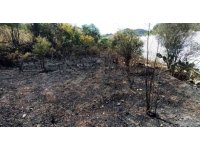 Alanya’da, bahçe yangınında meyve ağaçları ve sulama sistemi zarar gördü