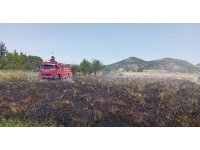 Burdur’da 1 dönüm tarım arazisi yanarak kül oldu