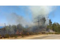 Hatay’da orman yangını, hava ve karadan müdahale ile kontrol altına aldı