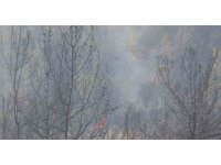 Adana’da orman yangınına havadan ve karadan müdahale devam ediyor