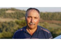 Adana’daki orman yangınında sabotaj iddiası