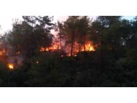 Adana’da ormanlık alanda yangın