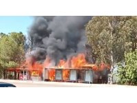 Adana’da kafede çıkan yangın ormana sıçradı