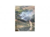 Ceyhan’da orman yangını