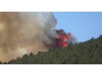 Kahramanmaraş’taki orman yangını söndürüldü