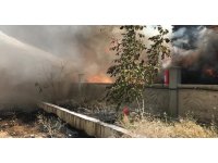 Burdur’da kereste fabrikası alevlere teslim oldu