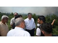 Osmaniye Valisi Yılmaz’dan orman yangını açıklaması