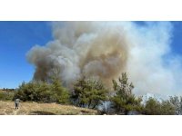 Adana’da orman yangını çıktı