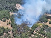 Mersin’deki ikinci orman yangını da kontrol altına alındı