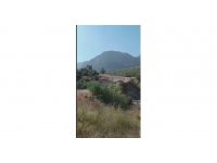 Kayseri Büyükşehir İtfaiyesi yangın bölgesinde