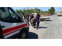 Kamyonet kanala uçtu, yaşlı kadın dizini dövüp "Neden ettin bunu bana" diyerek tepki gösterdi