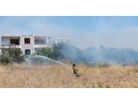 Alevlerin içinde kalan kaplumbağayı itfaiye kurtardı