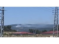 Saimbeyli’de orman yangını