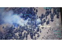 Anızdan ormana sıçrayan yangın kontrol altına alındı